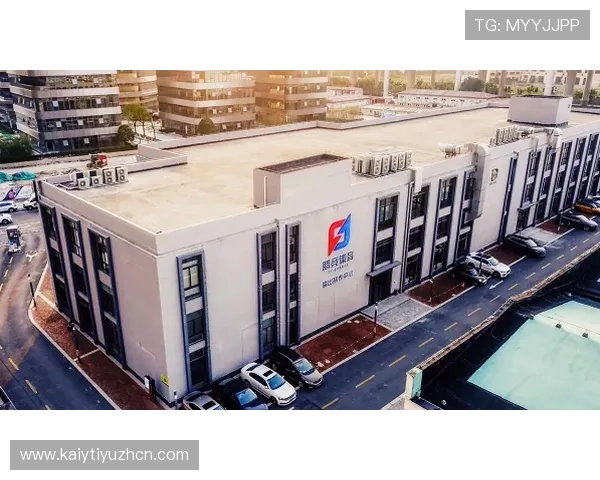 开云体育网页版入口优惠活动全面解析助你轻松畅享体育盛宴